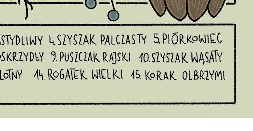 Plakat Liściowce (jasny) - Luiza Kwiatkowska - Fragment plakatu artistycznego na ekologicznym papierze z czarnym, ręcznie rysowanym fontem organicznym. - plakat, print