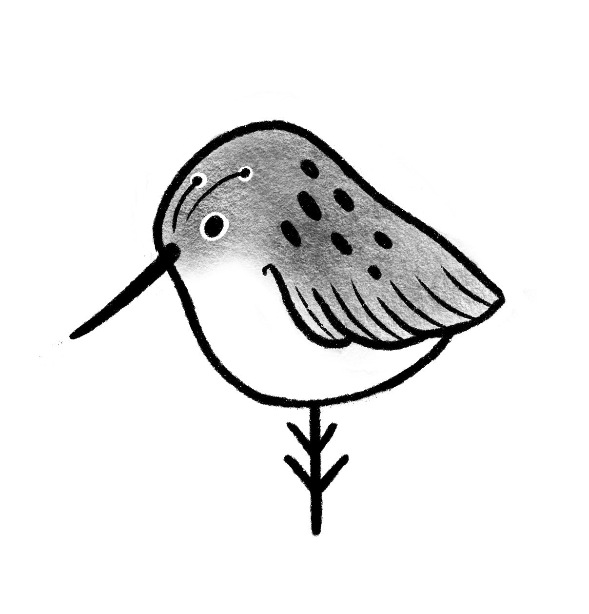 Ptaszek Kiwi - Luiza Kwiatkowska - Artystyczny plakat ptaszka Kiwi na ekologicznym, organicznym papierze z minimalistycznym rysunkiem. - digital