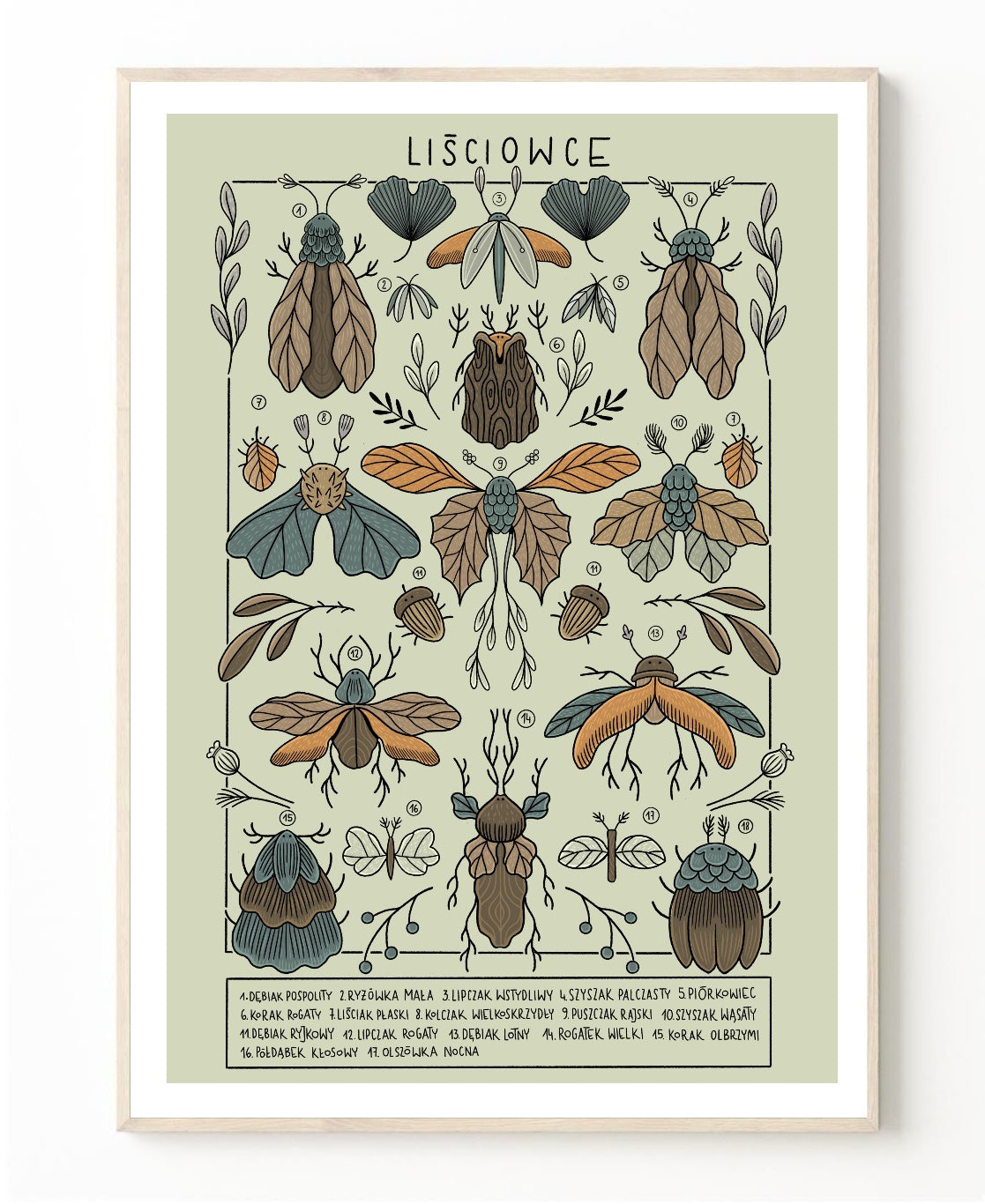 Plakat Liściowce (jasny) - Luiza Kwiatkowska - Artystyczny plakat liściowce na jasnym organicznym papierze eco, detal owadów naturalistycznych, styl artysty. - plakat, print