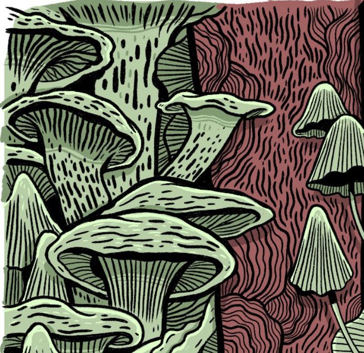 Plakat Grzyby - Luiza Kwiatkowska - Artystyczny plakat grzyby na ekologicznym, organicznym papierze Corn Crush, minimalistyczny styl ilustracji. - plakat, print