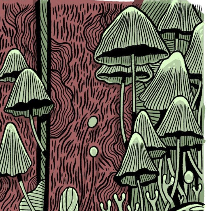 Plakat Grzyby - Luiza Kwiatkowska - Artystyczny plakat grzyby na organicznym ekologicznym papierze, detale naturalne, styl Luiza Kwiatkowska. - plakat, print