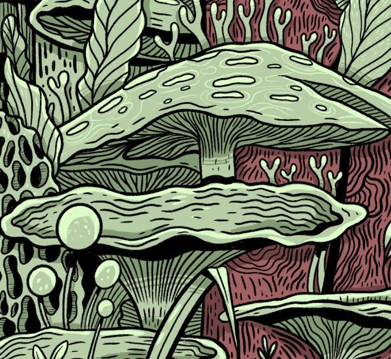 Plakat Grzyby - Luiza Kwiatkowska - Artystyczny plakat grzyby na ekologicznym papierze o fakturze Corn Crush, styl organiczny, detal roślinny. - plakat, print