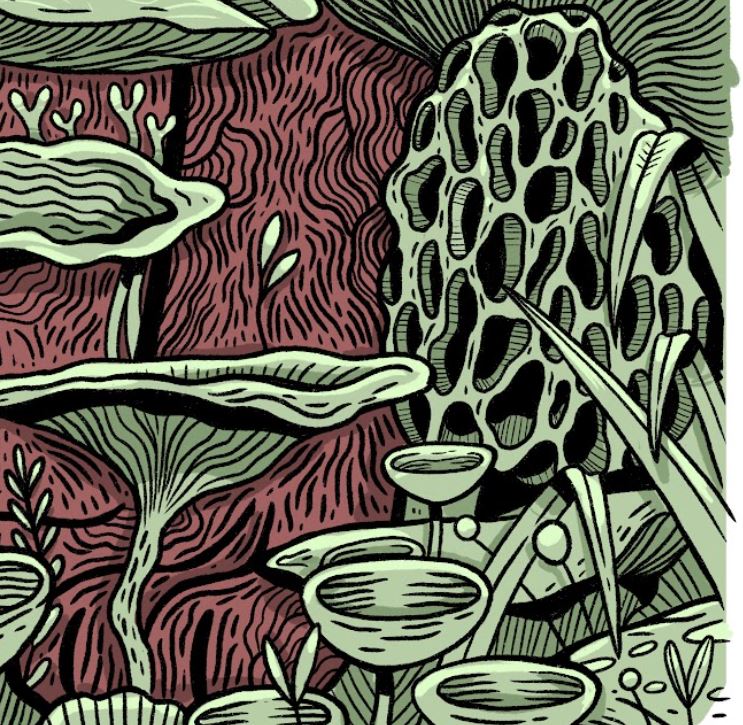 Plakat Grzyby - Luiza Kwiatkowska - Artystyczny plakat grzyby na ekologicznym papierze, organiczne zielone kształty na bordowym tle. - plakat, print