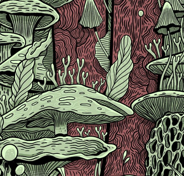 Plakat Grzyby - Luiza Kwiatkowska - Artystyczny plakat grzyby na ekologicznym papierze, organiczne wzory, szczegółowa roślinna grafika. - plakat, print