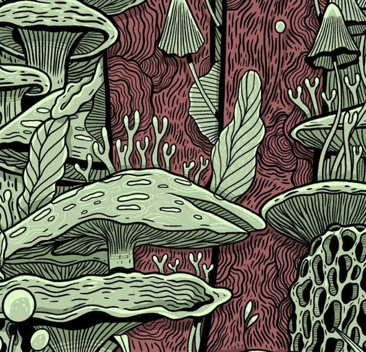 Plakat Grzyby - Luiza Kwiatkowska - Artystyczny plakat grzyby na ekologicznym papierze, organiczne wzory, szczegółowa roślinna grafika. - plakat, print