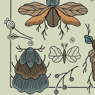 Plakat Liściowce (jasny) - Luiza Kwiatkowska - Artystyczny plakat Liściowce na ekologicznym jasnym papierze, organiczny wzór roślinny w naturalnych kolorach. - plakat, print