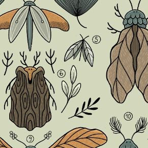 Plakat Liściowce (jasny) - Luiza Kwiatkowska - Artystyczny plakat liściowce na ekologicznym, organicznym papierze w naturalnych brązach i zieleniach. - plakat, print