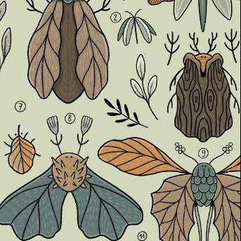 Plakat Liściowce (jasny) - Luiza Kwiatkowska - Artystyczny plakat Liściowce na jasnym tle, organiczne wzory owadów i liści, druk na ekologicznym papierze. - plakat, print