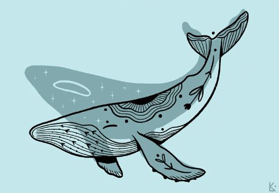 Plakat Wieloryb - Luiza Kwiatkowska - Artystyczny plakat wieloryba na organicznym, ekologicznym papierze w minimalistycznym stylu ilustracji. - plakat, print